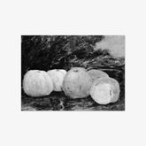 Apples by Gustave Courbet - thumbnail_0_nf_67378ef0746ff704b89f86cd
